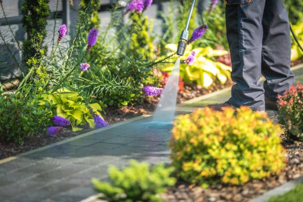  Deephaven, MN Pressure Washing Pros