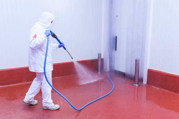 Best Sidewalk and Walkway Cleaning  in Deephaven, MN