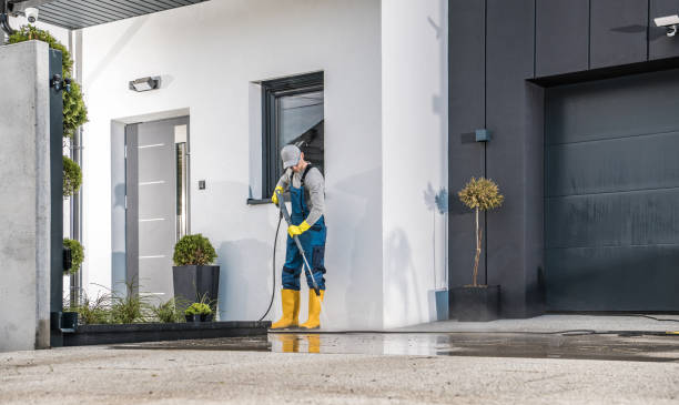 Best Dumpster Area Cleaning  in Deephaven, MN